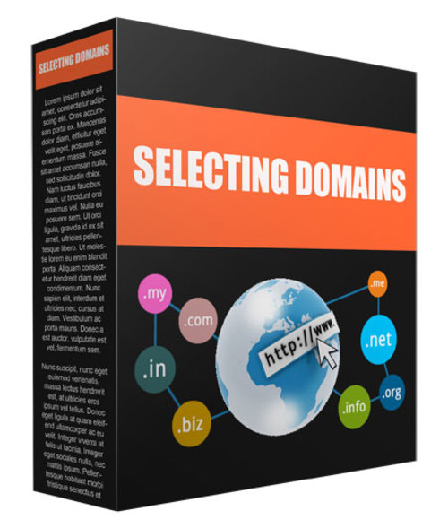 Product picture MRR - Selecting a Domain Name - ZIP